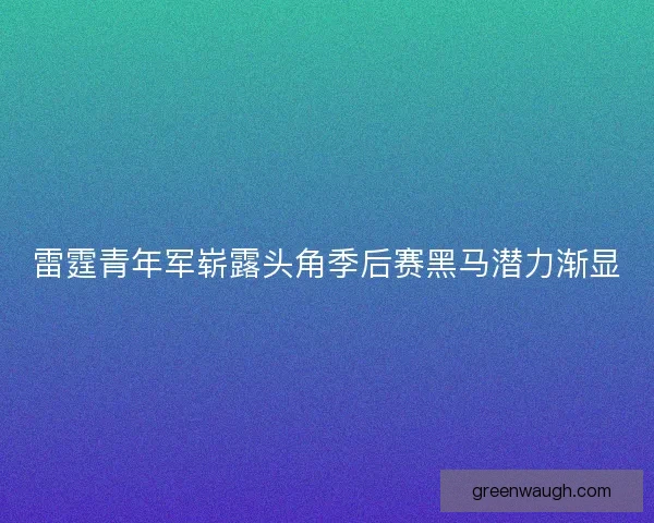 雷霆青年军崭露头角季后赛黑马潜力渐显 雷霆青年军崭露头角季后赛黑马潜力渐显