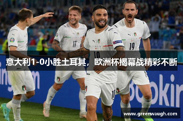 意大利1-0小胜土耳其，欧洲杯揭幕战精彩不断