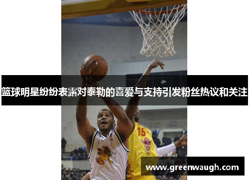 篮球明星纷纷表露对泰勒的喜爱与支持引发粉丝热议和关注