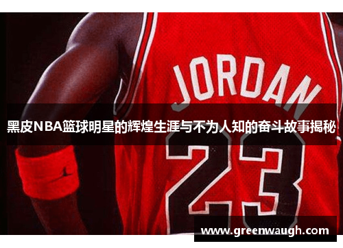 黑皮NBA篮球明星的辉煌生涯与不为人知的奋斗故事揭秘